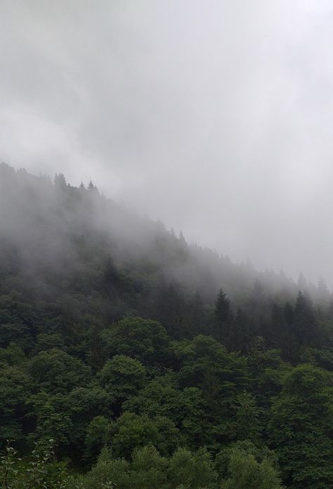 Foggy Aesthetic Mountain, Foggy Appalachian Mountains, Foggy Hills Aesthetic, Foggy Mountain Aesthetic, Haunting Photoshoot, Nature Mountain Aesthetic, Foggy Castle, Foggy Places, Foggy Aesthetic