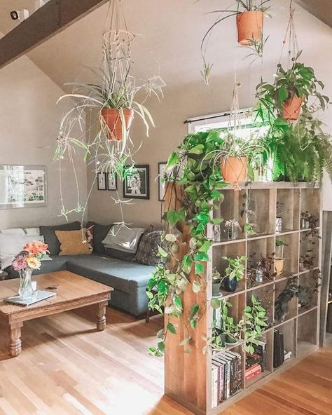 Plant Divider, Game Room Ideas, Divider Ideas, Studio Apartment Living, Living Room Divider, First Apartment Decorating, Couch Small, Small Balcony Ideas, Furniture Couch