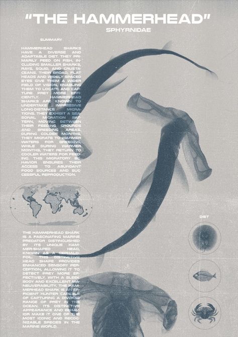 Shark Graphic Design, Shark Poster, 2023 Graphic, Shark Graphic, Hammerhead Shark, Digital Poster, Graphic Poster, Etsy Australia, Australia