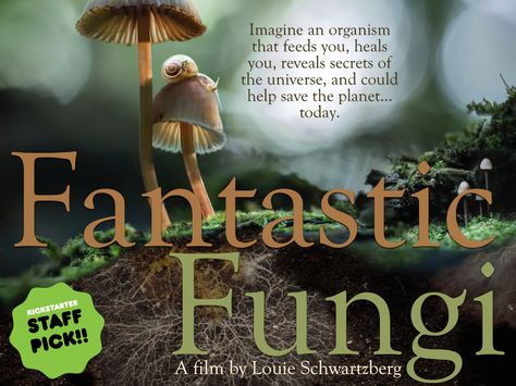 Fantastic Fungi - a film by Louie Schwartzberg's video poster Paul Stamets, Fantastic Fungi, Mushroom Cultivation, Healing Magic, Family Tv, Next Film, Secrets Of The Universe, Life Affirming, Presentation Video