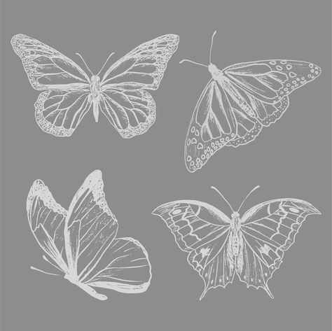 Set of four hand drawn sketch style butt... | Premium Vector #Freepik #vector #spots #lines #illustration #set Lines Illustration, Butterfly Sketch, Sketch Style, Butterfly Drawing, Design Posters, Psd Icon, Four Hands, Graphic Design Posters, Vector Photo