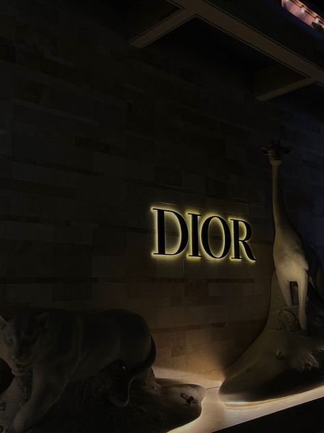 city nights aesthetic, dior aesthetic Ysl Dark Aesthetic, Doir Aesthetic, Luvdark Aesthetic, Dior Dark Aesthetic, Dior Aesthetic Dark, City Nights Aesthetic, Kristina Core, Nyc Socialite, Christian Dior Aesthetic