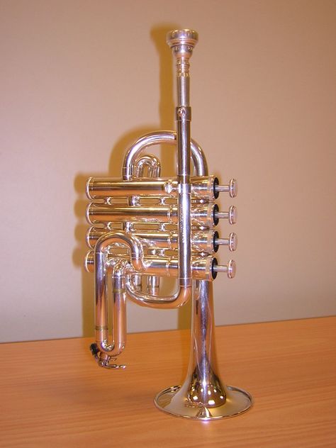 Piccolo Trumpet, Brass Musical Instruments, Brass Music, Brass Instruments, Trumpets, Types Of Music, Musical Instruments, Kids Playing, Music Instruments