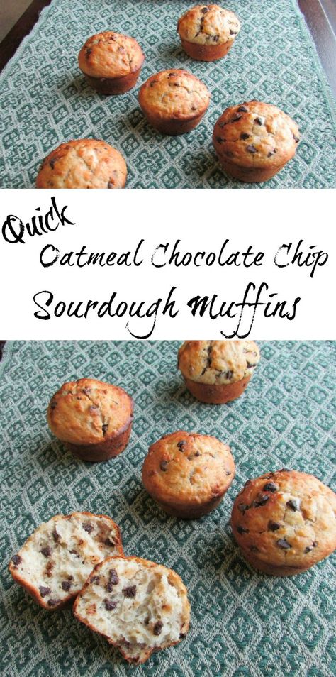 Chocolate Chip Sourdough, Starter Sourdough, Green Tahini, Quick Oatmeal, Sourdough Muffins, Dough Starter, Sourdough Starter Discard Recipe, Starter Recipes, Frugal Recipes