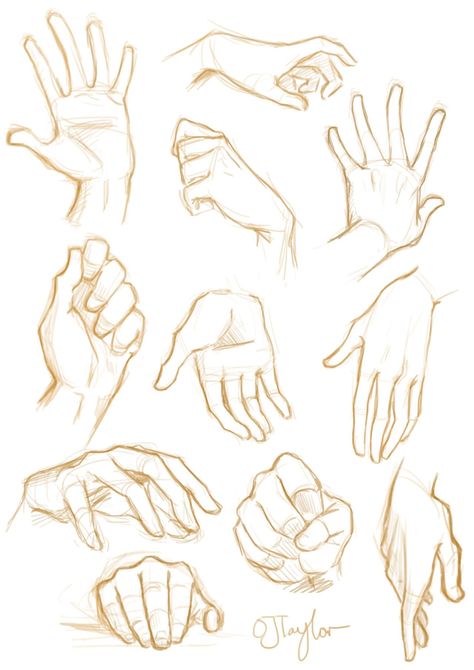 Sketch Hands, Hand Fotografie, ศิลปะ Sugar Skull, Hand References, Hand Sketches, Lakaran Fesyen, Corak Menjahit, Desen Realist, Draw Hands