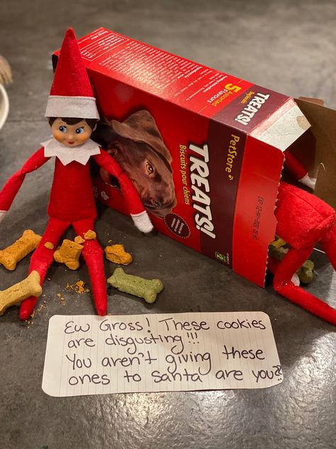 Elf On The Shelf Dog Treats, Elf On The Shelf Pet Ideas, Reindeer Pet, Leprechaun Tricks, Elf Ideas Easy, Elf Pets, Elf Arrival, Awesome Elf On The Shelf Ideas, Elf Fun