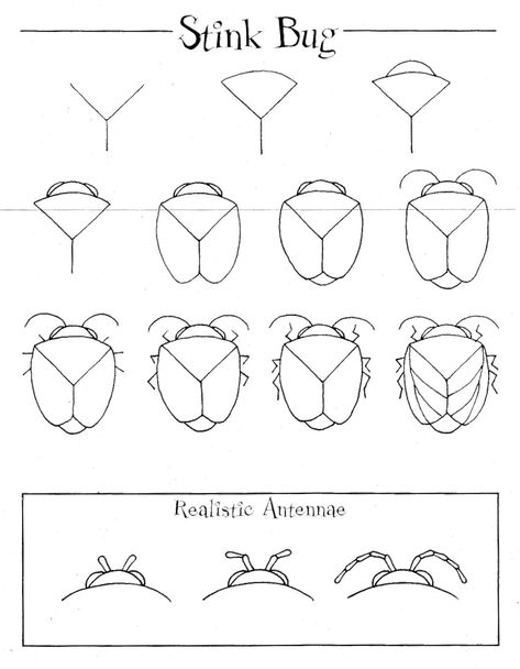 Bug Drawing Step By Step, How To Draw Insects, Bug Drawing, Insect Drawing, Bugs Drawing, Stink Bug, Stink Bugs, Classroom Art Projects, Bug Art