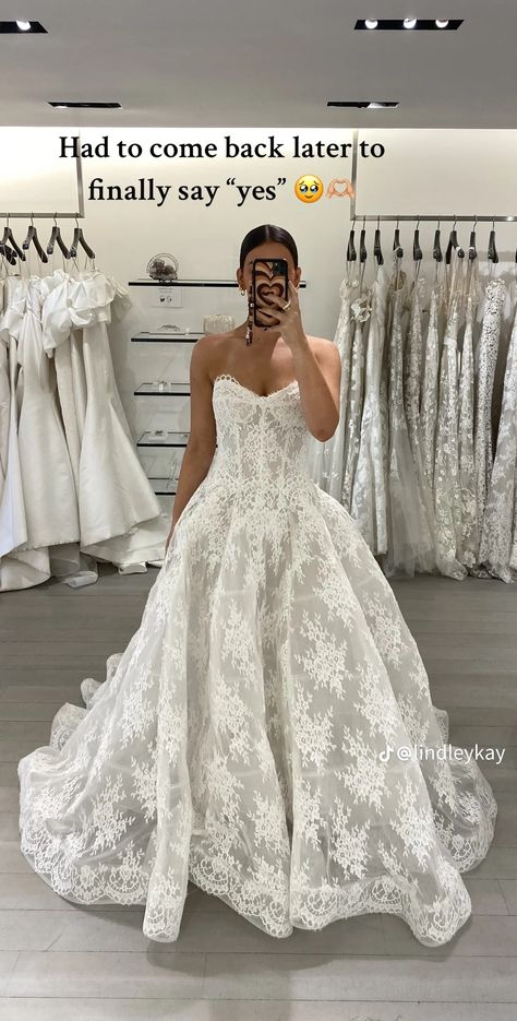 Detachable Overskirt Wedding Dress, Large Lace Wedding Dress, Fitted Wedding Dress Sparkle, Big Lace Wedding Dress, Low Waisted Wedding Dress, Strapless Lace Ballgown Wedding Dress, Lace Detail Wedding Dress, Basque Waist Lace Wedding Dress, Lace Romantic Wedding Dress