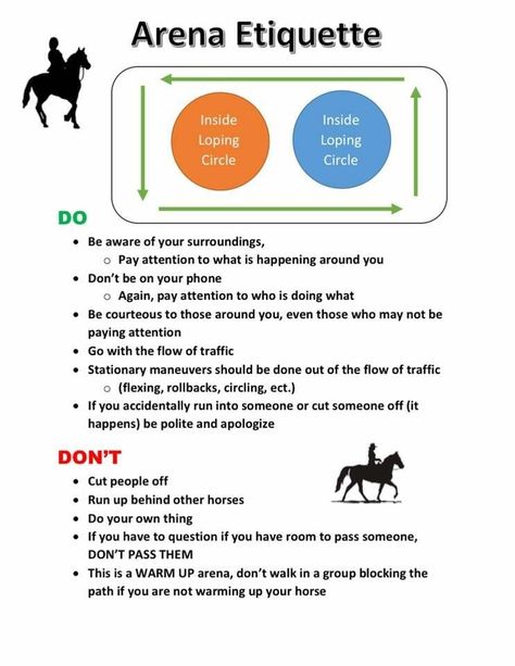 Arena Rules & Etiquettes | HORSE COURSES ONLINE Horse Riding Arena, Horse Farm Ideas, Riding Arena, Horse Lessons, Horse Arena, Horse Club, Horse Camp, Horse Therapy, Riding Arenas