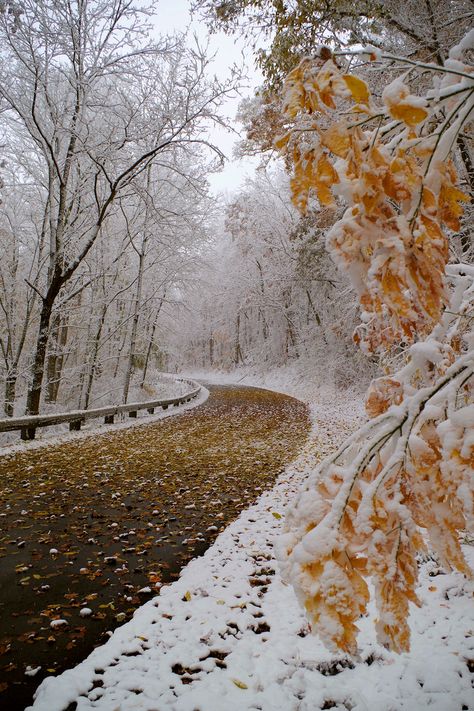 Blue Ridge Parkway near Asheville NC after a fall snow 2014