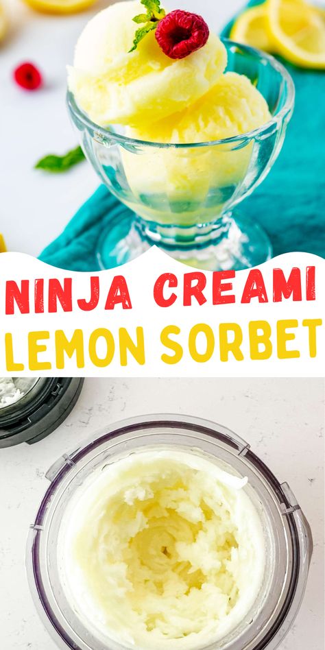 Spring and summer just aren’t complete without delicious frozen treats, and this Ninja CREAMi lemon sorbet is the perfect way to cool off. With its smooth and creamy texture, it has a wonderfully refreshing flavor that is great for beating the heat! This easy-to-make twist on classic sorbet will have your family begging for more. Blueberry Lemon Sorbet Ninja Creami, Sorbet Recipes Ninja Creami, Creami Sorbet Recipe, Lemon Sorbet Ninja Creami, Ninja Creami Sorbet Recipes Frozen Fruit, Ninja Creami Recipes Sorbet, Ninja Creami Sorbet Recipe, Healthy Lemon Sorbet, Ninja Creami Sorbet