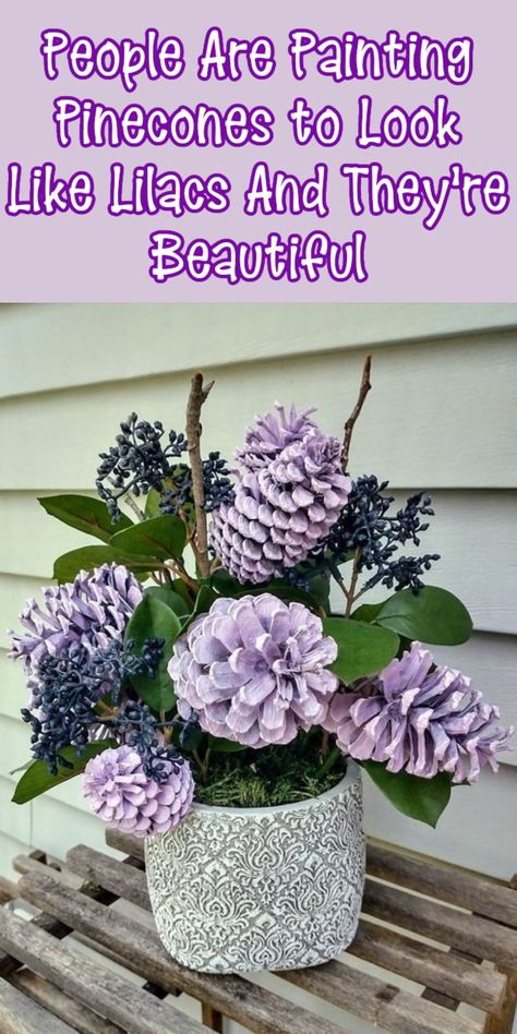 People Are Painting Pinecones to Look Like Lilacs And They Are Stunning Painted Pine Cones Flowers, Spray Painted Pine Cone Bouquet, Lilac Pine Cone Flowers, Pinecone Lilacs Diy, Pinecone Bouquet Diy, How To Dye Pine Cones, Pinecone Lilacs, Diy Acorn Crafts, How To Paint Pinecones