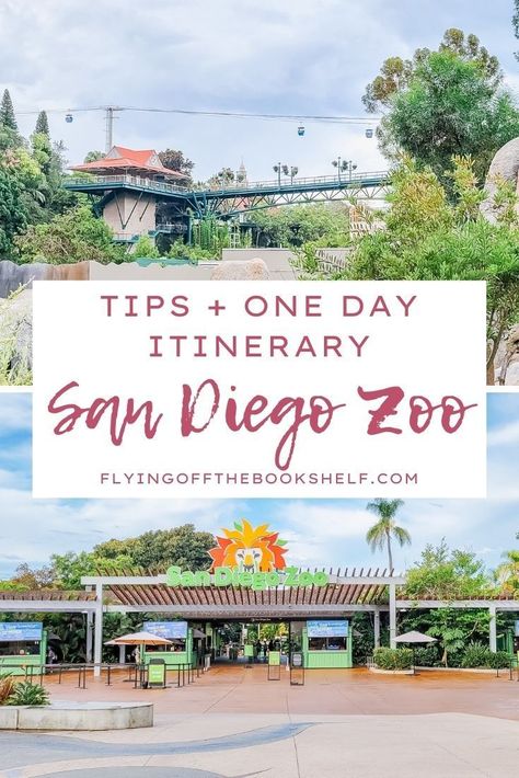 San Diego Outfits Summer Vacation, Summer San Diego Outfits, Visiting San Diego, San Diego Zoo Tips, San Diego Vacation Outfits, Outfits For San Diego, San Diego In March, San Diego Zoo Outfit, San Diego Things To Do In