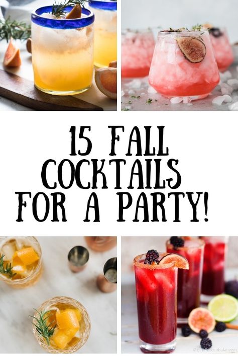 15 Fall Cocktails for any occasion! This roundup includes seasonal, fresh and gorgeous cocktails that are perfect for a fall entertaining! Recipes from some of my favourite bloggers out there! You'll love how delicious these all look! #fallcocktails #cocktails #cocktailroundup #fallcocktail #fallcocktailrecipes #cocktailrecipes #cocktailrecipe  via @homecookskitchn Gorgeous Cocktails, Fall Party Drinks, Fall Cocktail Party, Cocktail Recipes For A Crowd, Fall Party Food, Fall Drink Recipes, Pitcher Cocktails, Citrus Cocktails, Batch Cocktails