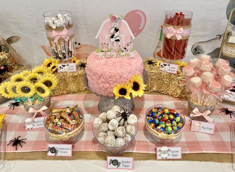 Charlotte Web Theme Party, Charlotte Web Birthday Party, Charlotte's Web Party Food, Charlottes Web Birthday Theme, Charlotte’s Web Party, Charlotte's Web Party, Charolettes Web, Girl Farm Birthday Party, Pink Farm Birthday