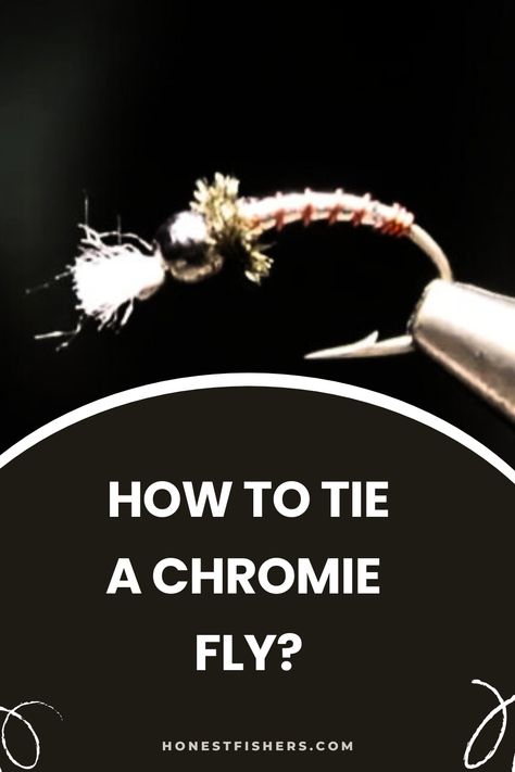 How To Tie A Chromie Fly? Beginner Books, Fishing For Beginners, Fly Box, Fly Fishing Flies Pattern, One Fish, Lake Fishing, Fishing Tools, Fishing Life, Fishing Equipment