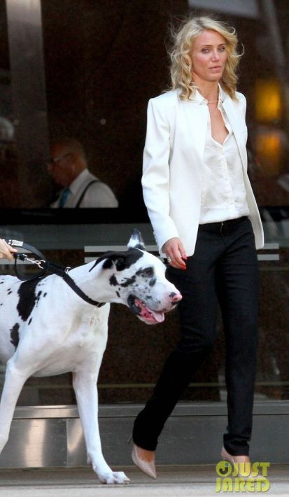 Cameron Diaz Style, The Other Woman, Cameron Diaz, Great Danes, Star Style, Work Style, Sergio Rossi, Professional Women, White Blazer