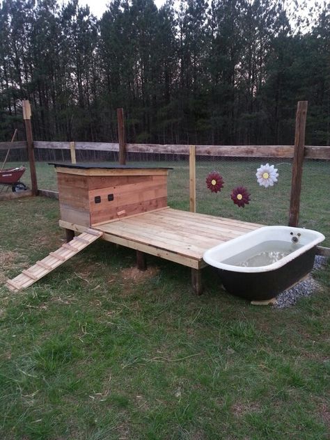 Our perfect duck house! One week after work project.  My grandpa's old cow watering tub made it just right. Duck Tub Ideas, Bathtub Duck Pond Ideas, Pet Duck House, Duck Pin Ideas, Bathtub Duck Pond, Easy Duck House, Geese House Ideas, Geese House, Duck Pool Ideas