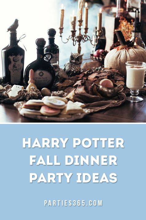 Harry Potter Themed Dinner, Fall Dinner Party Ideas, Harry Potter Adult Party, Harry Potter Fall, Harry Potter Dinner, Harry Potter Desserts, Party For Adults, Themed Dinner Party, Dinner Party Ideas