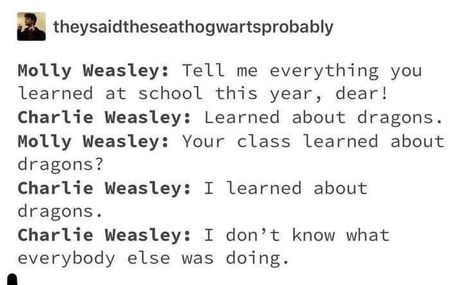 Charlie Weasley Headcanons, Weasley Headcanons, Charlie Weasley, Citate Harry Potter, Harry Potter Memes Hilarious, Yer A Wizard Harry, Harry Potter Comics, Harry Potter Ships, Harry Potter Headcannons