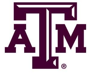 Texas A&M's STEM teacher recruitment program awarded grant for more than $1M | News | theeagle.com