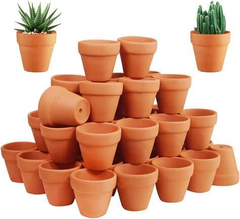 Amazon.com: 72 Pcs Small Mini Clay Pots - 2'' Terracotta Pot Ceramic Pottery Planter Terra Cotta Flower Pot Succulent Nursery Pots Great for Windowsill, Cactus Plant, Crafts, Wedding Favors Baby Shower : Patio, Lawn & Garden Mini Clay Pots, Succulent Nursery, Small Terracotta Pots, Window Sill Decor, Mini Clay, Cactus Planta, Plant Crafts, Planting Pot, Terracotta Flower Pots