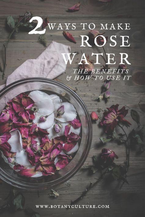 Homemade rose water is simple to make & has an impressive variety of uses from soothing facial toner to flavored lemonade & so much more. It's anti-inflammatory, antioxidant, antimicrobial, and astringent! Check out the blog post for more benefits & uses! #rosewater #diyrosewater #homemaderosewater #facialtoner #rosewaterrecipe #rosepetals #wildrose How To Make Rose Water, Rose Tincture, Rosewater Recipe, Make Rose Water, Rose Water Benefits, Homemade Rose Water, Rose Water Diy, Witchy Business, Natural Cleaning Supplies