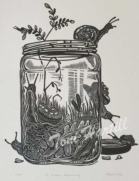 “A Cautious Reopening”, Kauri Snails, Handmade Linocut Print | Felt Camping Linocut, Mushrooms Linocut, Lino Printing Ideas, Animal Printmaking, Vintage Linocut, Linocut Artists, Sgraffito Technique, Snail Art, Woodcut Art