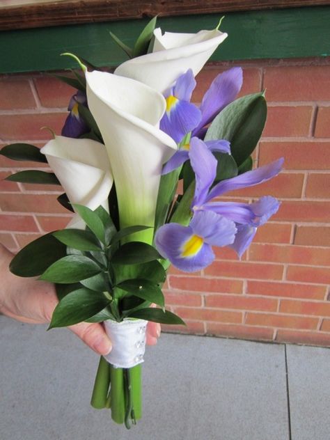 These are the lighter blue iris but you can see them with the longer/larger white callas Cali Lily, Iris Wedding Bouquet, Purple Orchid Bouquet, Iris Wedding, Iris Bouquet, Tall Centerpiece, Blue Iris, Tall Centerpieces, Iris Flowers