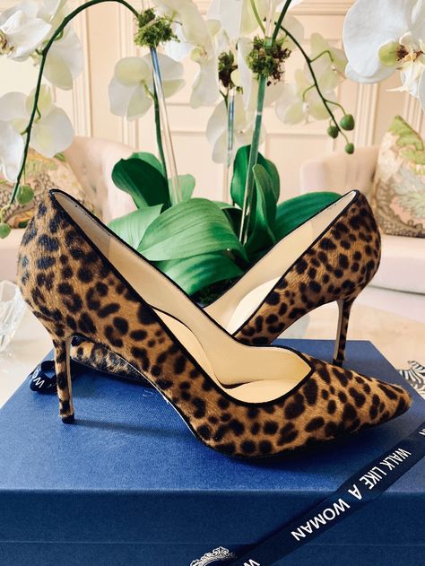 The perfect pump by Sarah Flint in leopard calf hair, 85 mm heel. Sarah Flint Perfect Pump, Sarah Flint, Leopard Pumps, Dallas Fashion, Shoe Company, Kate Hudson, Famous Women, Calf Hair, Old Money