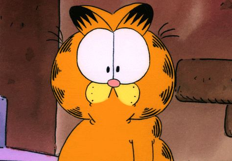 Garfield Gif, Cover Screen Gif, Elmo Videos, Friends Theme Song, What Gif, Cat Animation, Fat Orange Cat, Garfield Comic, Garfield Images