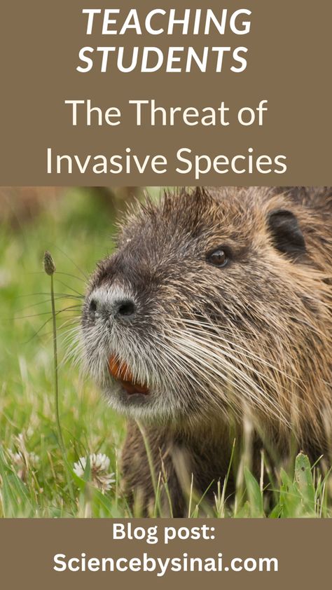 Teaching ithreat of invasive species, research and dice game Invasive Species Activities, Biodiversity Activities, Research Graphic Organizer, Environmental Education Activities, Biology Ideas, Environmental Activities, Roll Food, Conservation Activities, Soil Conservation