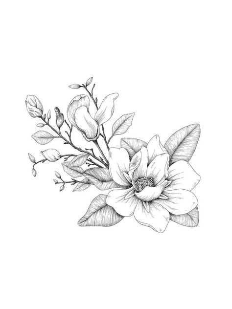 Chattanooga Tattoo, Louisiana Magnolia, Magnolia Illustration, Gardenia Tattoo, Unique Half Sleeve Tattoos, Magnolia Tattoo, Wrist Tattoo Designs, Line Art Flowers, Southern Magnolia