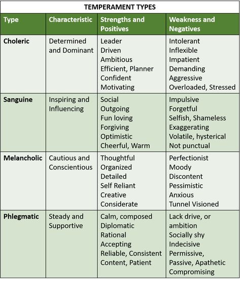 4 Temperaments, Disc Personality Test, Temperament Types, Disc Personality, Mental Health Blogs, Homeopathy Remedies, Health Blogs, People Skills, Business Communication