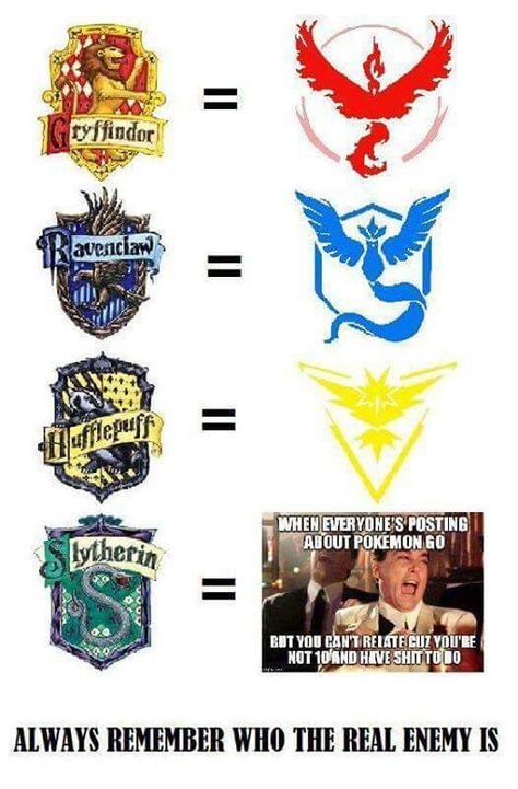 Ware Wolf, Harry Potter Teams, Team Instinct, Harry Potter Memes Hilarious, No Love, Pokemon Comics, Pokemon Memes, Harry Potter Jokes, Pokemon Funny