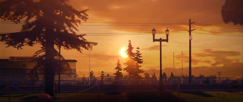 Sunset Blackwell Academy, Life Is Strange Characters, Kate Marsh, Rewind Time, Max Caulfield, Rachel Amber, Arcadia Bay, Life Is Strange 2, Life Is Strange 3