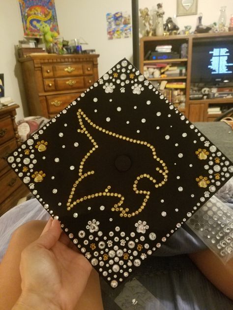 Texas state grad cap 2018 Texas State Graduation Cap, Cap Graduation Ideas, Grad Cap Ideas, Cap Graduation, Texas State University, Cap Ideas, Grad Cap, Graduation Ideas, Texas State