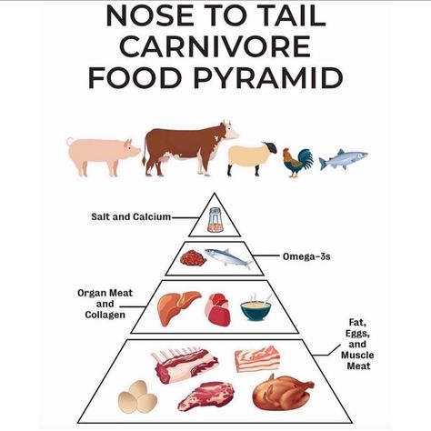 Amber Wentworth on Instagram: “Posted @withrepost • @carnivoremd HOW TO CONSTRUCT A CARNIVORE DIET! As many of you will know I’m definitely an advocate of eating “nose to…” Viking Diet, Carnivore Ideas, Paul Saladino, Caveman Diet Recipes, Zero Carb Foods, Caveman Diet, Meat Diet, Best Business Ideas, Dog Food Brands