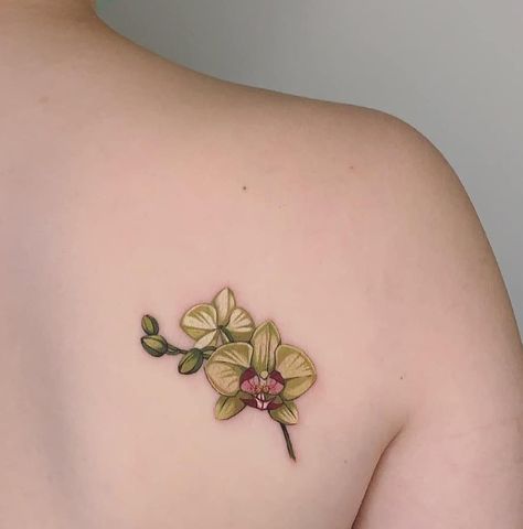 80+ Orchid Tattoos: Meanings, Tattoo Designs & Ideas Green Orchid Tattoo, Delicate Orchid Tattoo, Cattleya Orchid Tattoo Design, Cattleya Orchid Tattoo, 96 Tattoo, Orchid Tattoo Meaning, Orchid Tattoos, Orchid Flower Tattoos, Dragon Thigh Tattoo