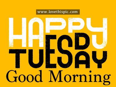 Happy Tuesday Hump Day Quotes, Tuesday Pictures, Tuesday Greetings, Morning Announcements, Tuesday Inspiration, Saturday Quotes, Good Morning Tuesday, Quotes Gif, Thursday Quotes