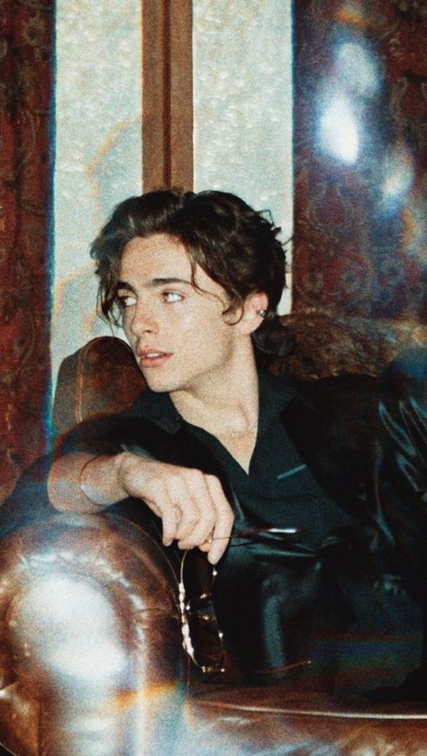 Aesthetic, wallpaper, Timothée chalamet Timothee Chalamet