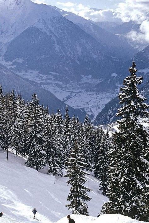 New Hampshire Ski Resorts, Mountains Background, White Mountains New Hampshire, Mountain Pictures, Mountain Background, Snowy Trees, Snowy Mountain, Mountain Wallpaper, White Mountains