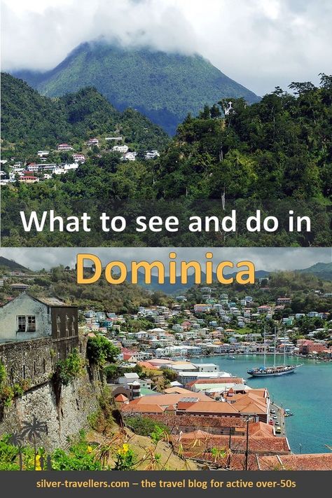 Dominica is known as the nature island of the Caribbean. You will find jungle, craggy mountains, beaches and a Caribbean atmosphere. Caribbean Travel, Cultural Experience, Caribbean Islands, The Nature, Aruba, Travel Lifestyle, Travel Bucket List, The Caribbean, Travel Bucket