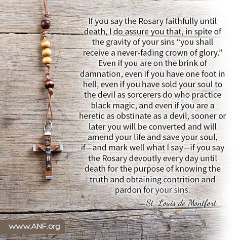 June 12, 1986 "Dear children! Today I call you to begin to pray the Rosary with a living faith. That way I will be able to help you. You, dear children, wish to obtain graces, but you are not praying. I am not able to help you because you do not want to get started. Dear children, I am calling you to pray the Rosary and that your Rosary be an obligation which you shall fulfill with joy. That way you shall understand the reason I am with you this long. I desire to teach you to pray. Thank you Rosary Quotes, Crown Of Glory, Saying The Rosary, Archangel Prayers, Pray The Rosary, Save Your Soul, Daily Quote, Praying The Rosary, Holy Rosary