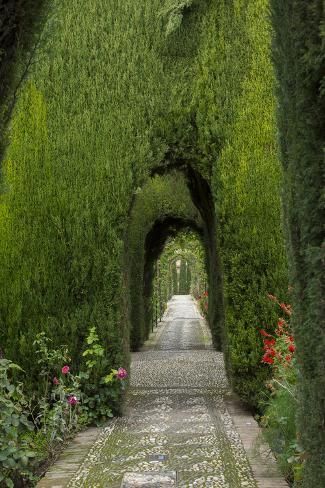 size: 12x8in Photographic Print: Granada, Spain, Alhambra, Famous Hedges of Gardens of the Generalife by Bill Bachmann : Artists Using the moniker "Bachmann Tour Overdrive," photographer Bill Bachmann and his entourage have extensively shot his home state of Florida, as well as over 170 countries on all 7 continents. Bachmann studied photography in New York and London before embarking on his freelance career. One of the world’s top 5 stock photographers, he has shot more than 1,000 magazine cove Granada Spain, Shiatsu Massage, Alam Yang Indah, Nature Aesthetic, Pretty Places, Green Aesthetic, Fantasy Landscape, Dream Garden, Hedges