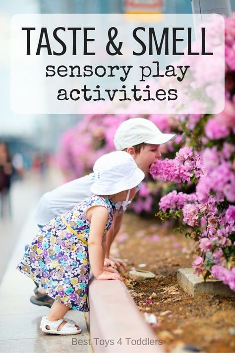 Best Toys 4 Toddlers - Taste and Smell Sensory Play Activity Ideas for Kids to Explore Smell Sensory Activities, Smell Activities, Sensory Play Activities, 5 Senses Activities, Senses Activities, Play Activity, Activities For Preschool, Best Toys, Kids Sensory