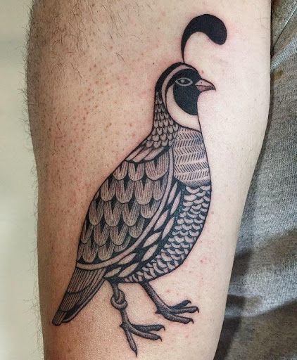 Quail Tattoo Ideas, Small Bird Tattoo Ideas, Quail Tattoo, Bird Tattoo Ideas, Bird Tattoo Sleeves, Small Bird Tattoos, Garden Tattoos, Small Bird Tattoo, Office Mural