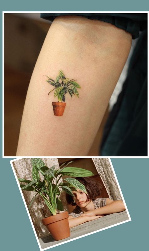 Colorful tiny floral tattos Aglaonema Tattoo, Oregano Tattoo, Watercolor Plant Tattoo, Snake Plant Tattoo, Scar Tattoo, Taurus Tattoos, Plant Tattoo, Professional Tattoo, Minimal Tattoo