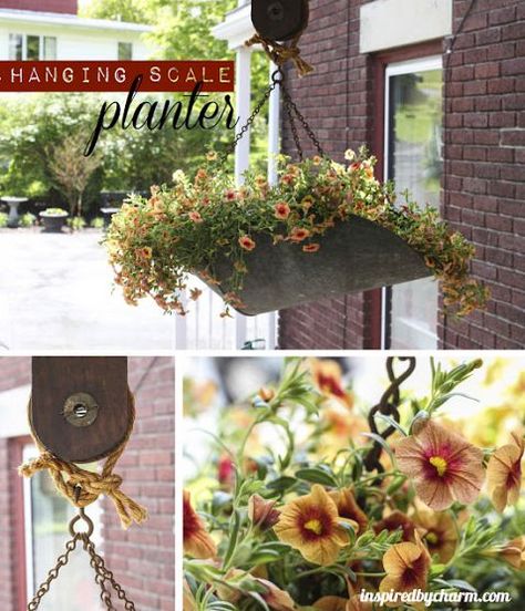 This is a simply #beautiful #diy idea! :) Upcycled Planter, Hanging Scale, Planter Project, Weekly Inspiration, Funky Junk Interiors, Unique Planter, Sunrooms, Garden Containers, Vintage Planters