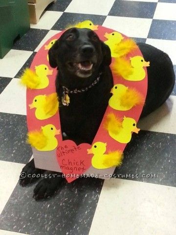 Chick Magnet Costume, Magnet Costume, Dog Turkey Costume, Diy Voodoo Doll Costume, Quick N Easy Halloween Costumes, Pink Unicorn Costume, Voodoo Doll Costume, Halloween Ideas Costumes, Dog Costumes Funny